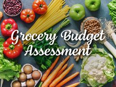 Grocery Budget Assessment