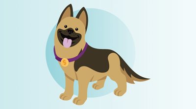 Cash the dog