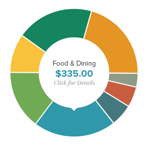 Image of a pie chart showing expense tracking