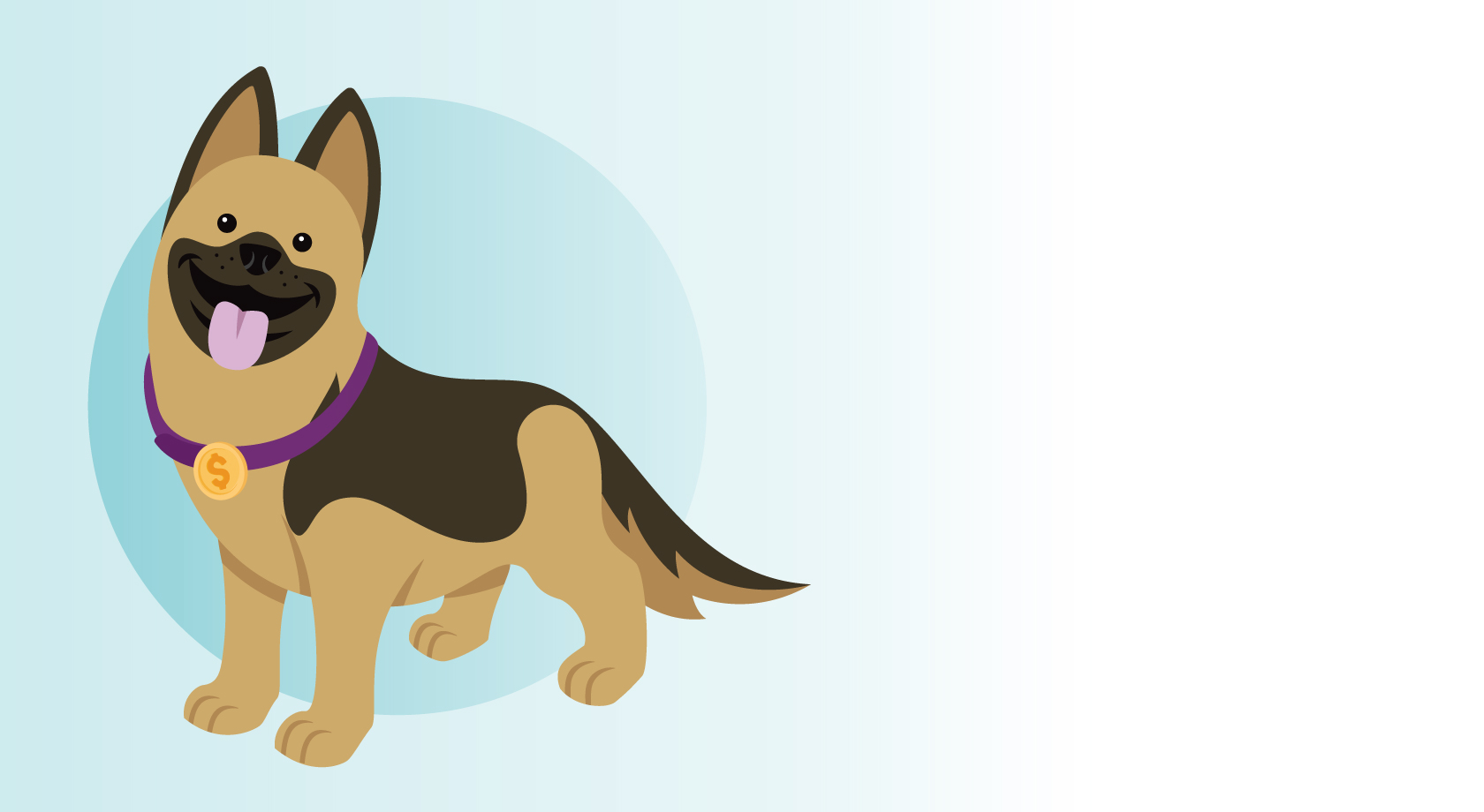 Cash the german shepherd 